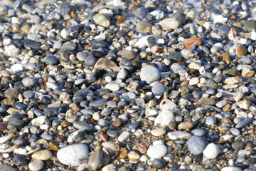  A close up view of smooth polished multicolored stones washed a