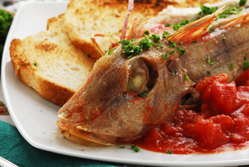 Gallinelle al pomodoro Tub gurnard with tomato