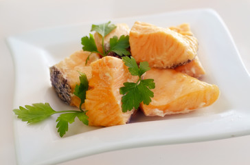 salmon