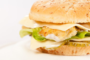cheeseburger on the plate