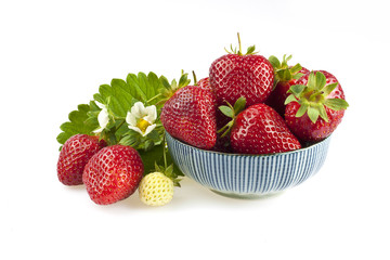 Fresh strawberries with leaves and flowers