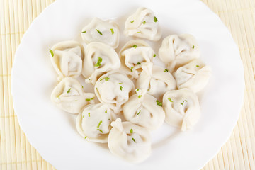 Traditional Russian cuisine. Pelmeni on white plate