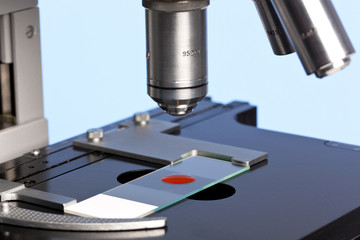 Microscope and blood sample