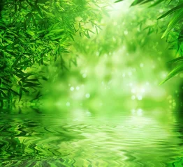 Crédence de cuisine en verre imprimé Bambou Forêt de bambous zen, soleil et eau.