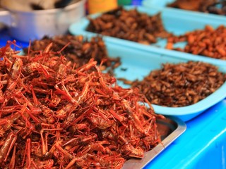 Fried insects - 41219868