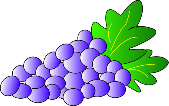 uva