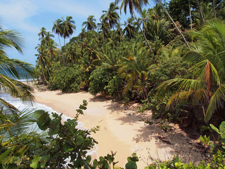 Beautiful white sand beach with lush tropical vegetation, Caribbean coast of Costa Rica, Central America