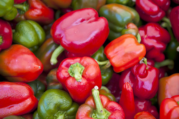 Bell Pepper Assortment