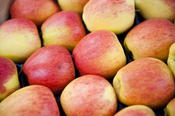 Bright Delicious Apples