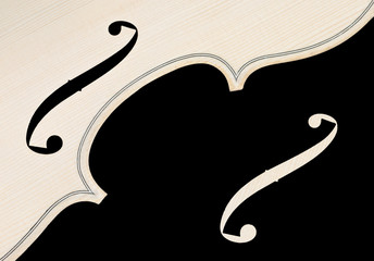 violin © Roman Pyshchyk