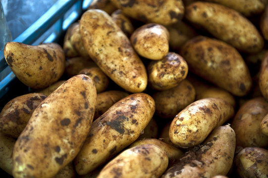 Dirty Potatoes