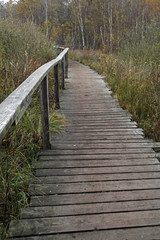 Bohlenweg durchs Hiller Moor