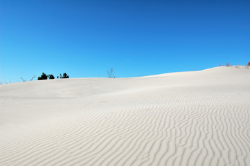 desert dunes in sardinia (porto pino)