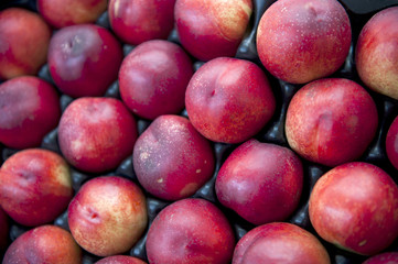 Red Plums
