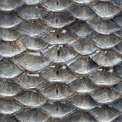 Fish scales seamless pattern - 41225637