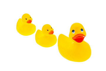 gelbe Plastikente
