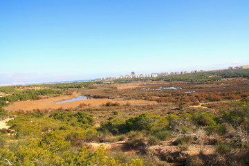 Clot de Galvany y Arenales de Sol  Alicante