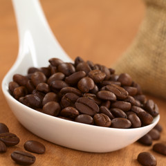 Roasted Coffee Beans on Ceramic Spoon