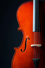 Music concept- close up of cello © Elnur