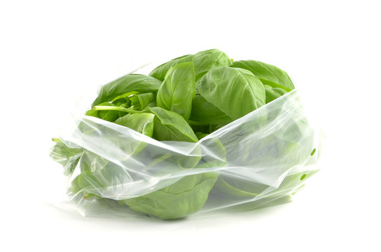 Bag of Basil
