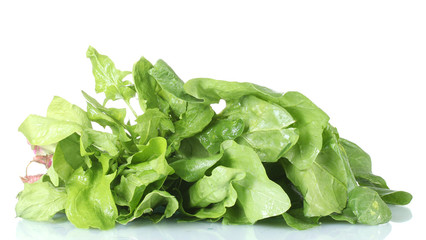 spinach isolated on white