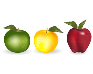 three colorful apples, red, yellow, green