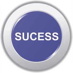 bouton sucess