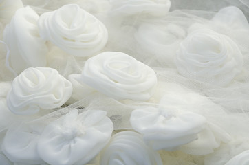 White Rose