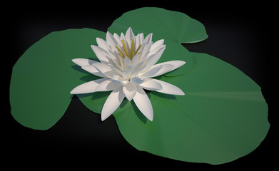 lotus © Vladimir Bishevsky