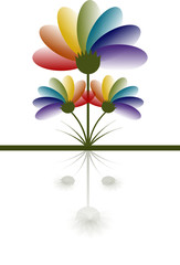 Spectrum Rainbow Flowers Logo with reflection