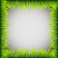 Grass frame