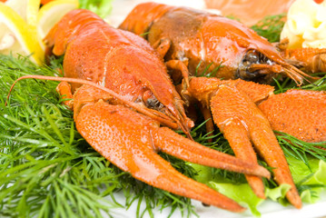 crayfish in salad