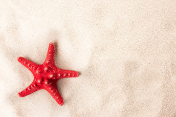 Fototapeta na wymiar Czerwony rozgwiazdy na plaży