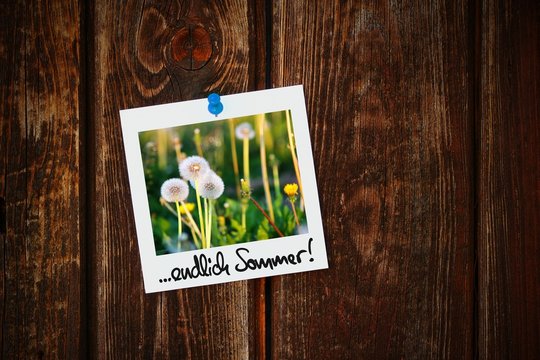 zettl-brettl tor ...endlich sommer! II
