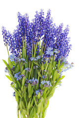 Bouquet from mini blue flowers