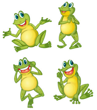 Frog series