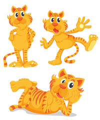Ginger cats series