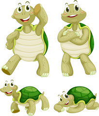 Turtles