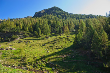 Naklejka premium paesaggio di montagna 65