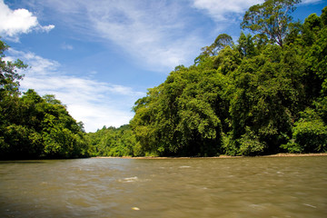 Parco Nazionale del Temburong - Brunei