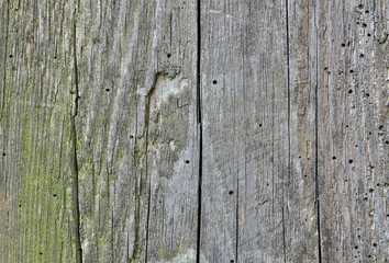 Naklejka premium old boards background