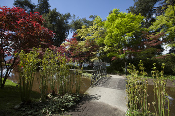 giardino fiorito