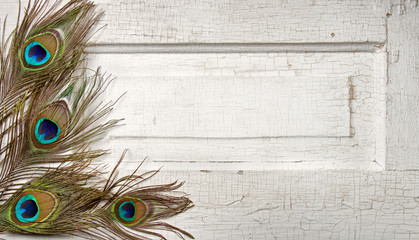 Peacock feathers on vintage door