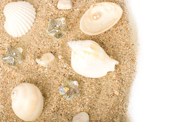 Fototapeta na wymiar Beautiful sand background with exotic shell
