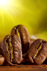 macroshot of coffee beans on the blurry background