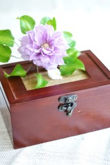 クレマチスと宝箱