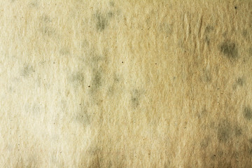paper texture