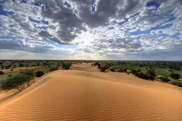 sand dune in the kalahari