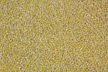 Close-up of millet seeds