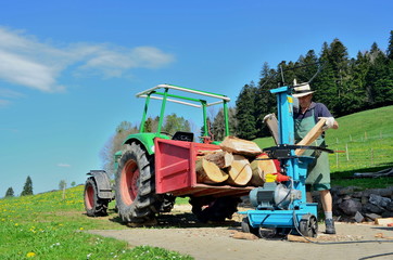 Brennholz spalten